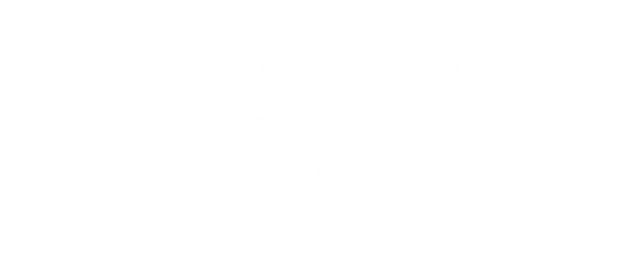 Shopware 6 Trained Solutions Architect